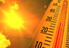 Veranito en Mendoza: se esperan temperaturas elevadas en los próximos días