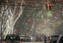 Alerta amarilla por tormentas y viento zonda