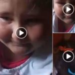 625581f590b2a_738_448!