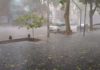 Zona Este: anticipan tormentas e ingreso de viento sur para este miércoles
