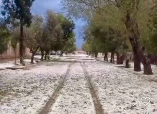 Distritos del Este los más afectados con caída de granizo
