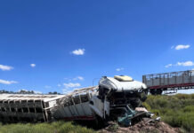 Volcó un camión con ganado en Las Catitas