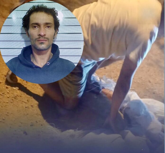 23D738E4-875A-4333-B8BD-1F1714003BD5