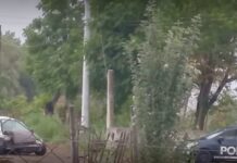 Junín: policía conducía con casi 2 gramos de alcohol en sangre y chocó