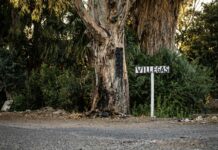 San Martín: Conductor alcoholizado se salvó de milagro tras caer a una acequia e incendiarse su vehículo