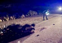 San Martín: un motociclista perdió la vida tras colisionar con un camión