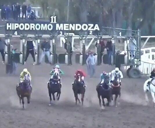 Mudar el Hipódromo a Junín: Abed reconoce el interés pero advierte por la "gran inversión" necesaria.