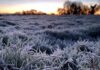 El Este sintió el rigor del invierno: San Martín y Junín las zonas más frías