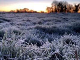 El Este sintió el rigor del invierno: San Martín y Junín las zonas más frías