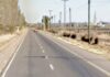 Rivadavia: adolescente de 14 años fue atropellada por un camión y reclaman luminarias