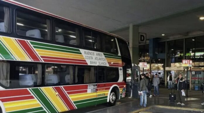 Contra la ley: el Gobierno autoriza a otorgar pasajes a discapacitados solo en el piso superior