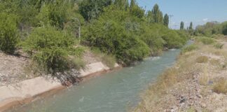 Tragedia en Rivadavia: una mujer falleció tras caer a un canal