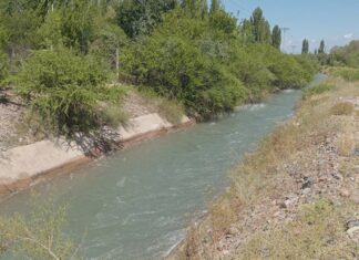 Tragedia en Rivadavia: una mujer falleció tras caer a un canal