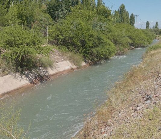 Tragedia en Rivadavia: una mujer falleció tras caer a un canal