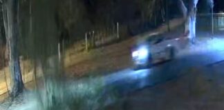 San Martín: conductor herido tras la caída de una rama sobre su camioneta
