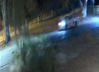 San Martín: conductor herido tras la caída de una rama sobre su camioneta