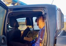 Rivadavia: Policía Rural impidió el robo de caballos para faena y detuvo a un sospechoso