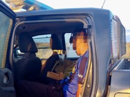 Rivadavia: Policía Rural impidió el robo de caballos para faena y detuvo a un sospechoso