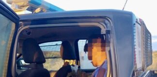 Rivadavia: Policía Rural impidió el robo de caballos para faena y detuvo a un sospechoso