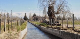 Trágico final en Junín: hallaron sin vida al menor tras un intenso operativo de búsqueda