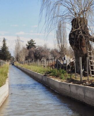 Trágico final en Junín: hallaron sin vida al menor tras un intenso operativo de búsqueda