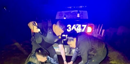 Beltrán: tres detenidos por robar 10 lechones y agredir a un casero