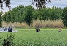 Junín: un niño de cinco años murió tras ser atropellado por su padre