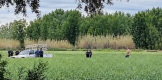 Junín: un niño de cinco años murió tras ser atropellado por su padre