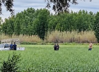 Junín: un niño de cinco años murió tras ser atropellado por su padre
