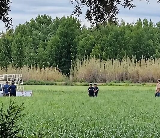 Junín: un niño de cinco años murió tras ser atropellado por su padre