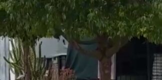 Rivadavia: Rescataron a 8 mujeres hipoacúsicas tras destapar una red de trata